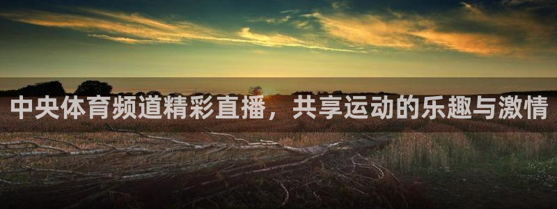 柠檬直播体育官网