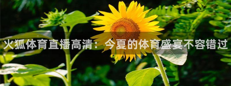 柠檬直播的足球