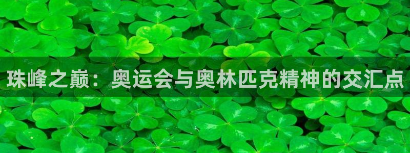 柠檬直播nba