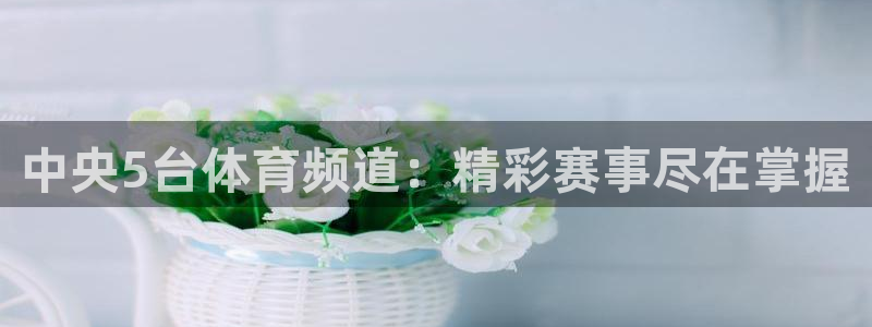 柠檬直播现场