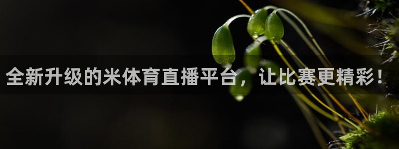 柠檬直播 柠檬