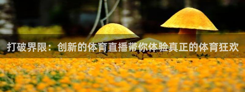 柠檬直播网